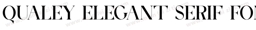 Qualey Elegant Serif Font字体转换